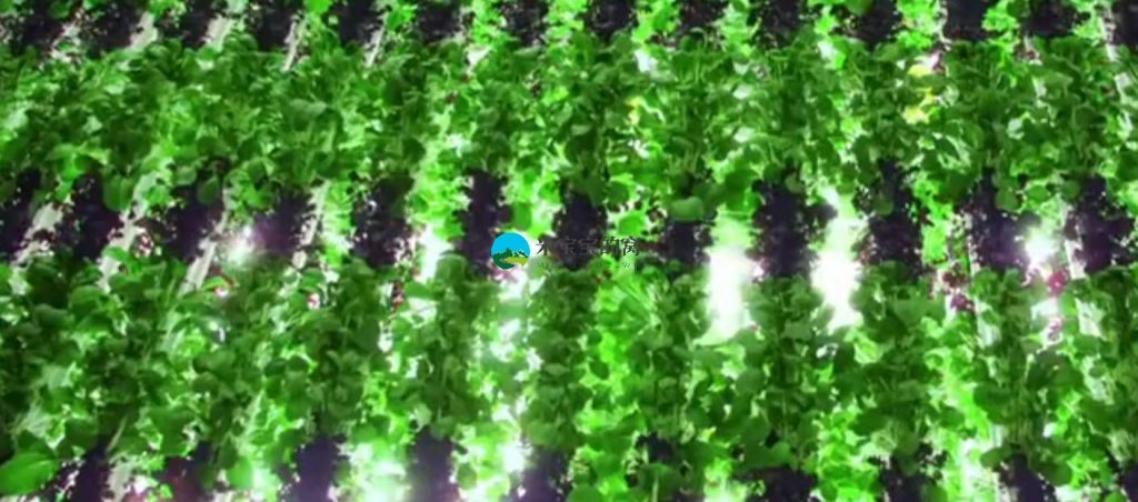 下一代的农业并不是你想像的那样