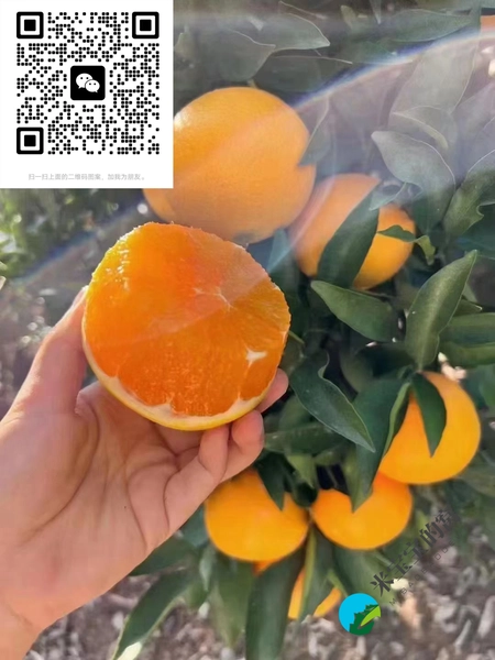 湖北农产品走进长沙 现场签下超亿大单