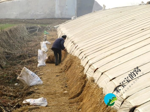 冷空气来袭保温抗逆并重 大棚如何进行保温抗寒