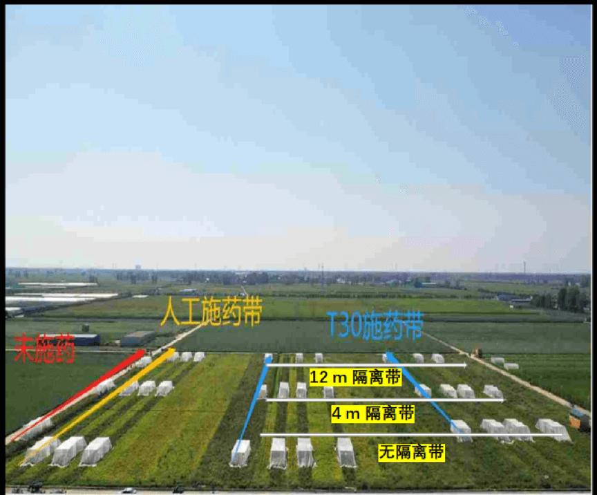 大疆农业、植保无人机、无人机打药、果树打药、农业、智能、科技农业、无人机播撒、统防统治