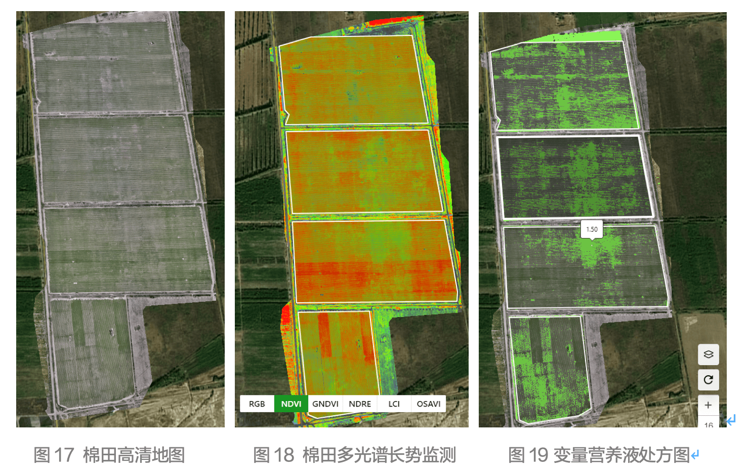 大疆农业、植保无人机、无人机打药、果树打药、农业、智能、科技农业、无人机播撒、统防统治
