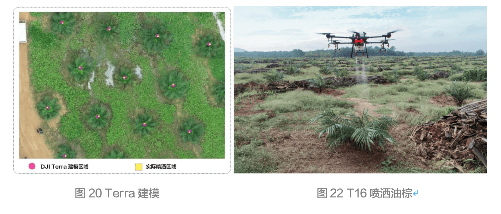 大疆农业、植保无人机、无人机打药、果树打药、农业、智能、科技农业、无人机播撒、统防统治