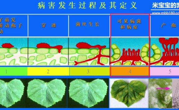 农药学之化学杀菌剂（一）