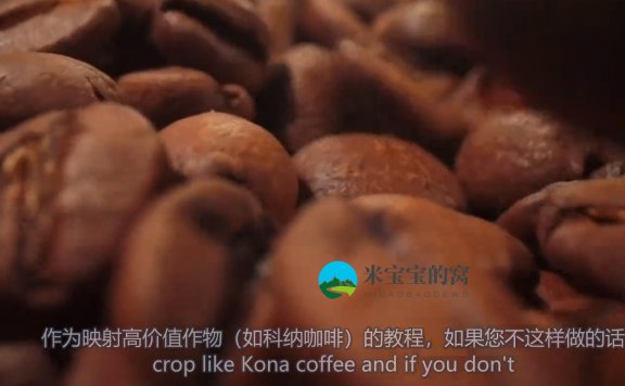 如何用无人机绘制高价值作物