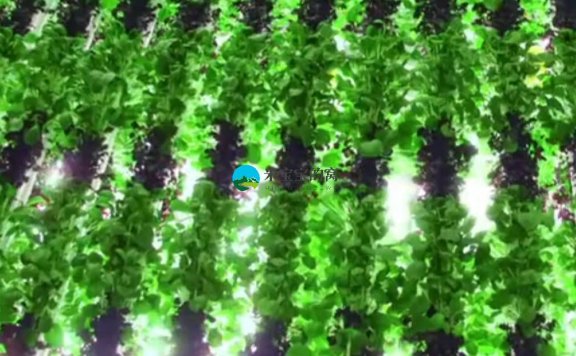 下一代的农业并不是你想像的那样