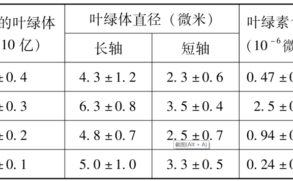 水稻叶的光合作用