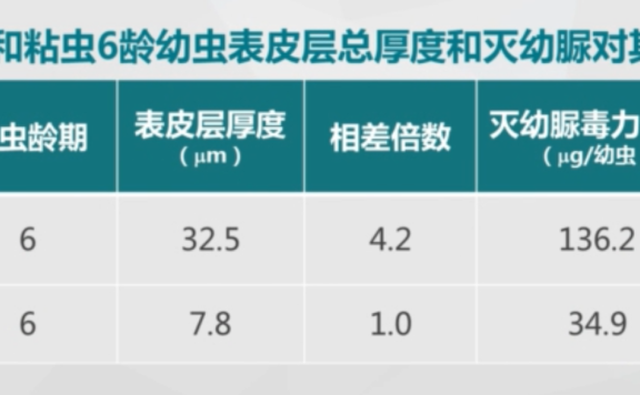 杀虫剂对昆虫体壁的穿透