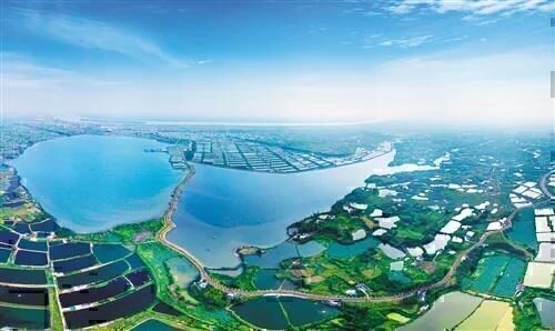 数字农业决策过程的 4 个步骤