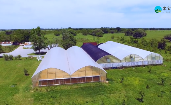 ONICS 农场 游览德克萨斯州最大的 AQUAPONIC 农场之一