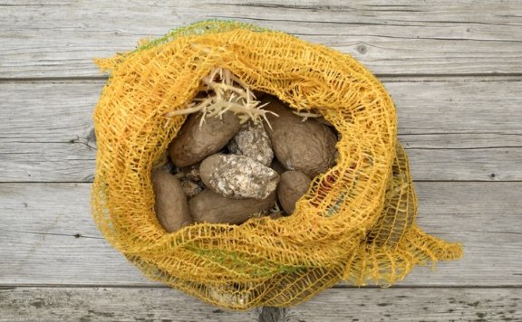 科研人员开发出用于早期检测马铃薯腐烂的生物传感器