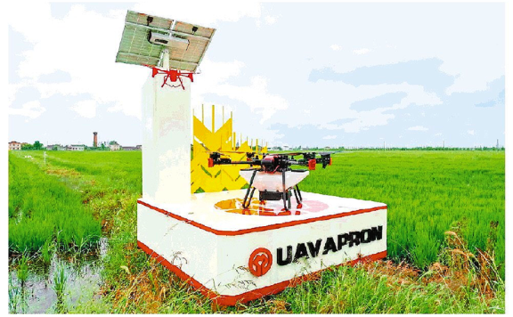 依托智慧农业系统，3名“90后”在“屏幕上种地”