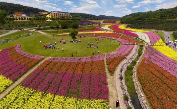 乡村四时好风光   出发！局长带您游枝江