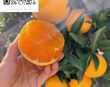 湖北农产品走进长沙 现场签下超亿大单