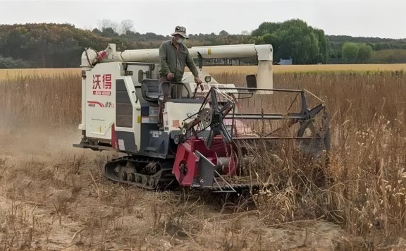 5分钟收完一亩地 湖北南漳举办芝麻新品种机械化联合收获关键技术示范观摩会
