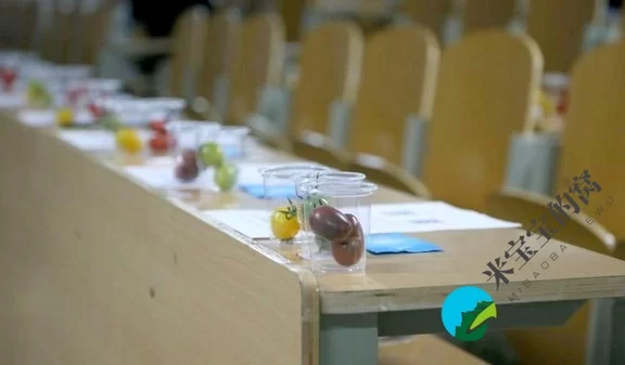 “2022年最受消费者喜爱的樱桃番茄” 评选活动第一轮初赛结束