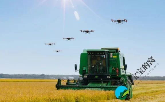 种植小麦过程中经常会遇到春旱，有哪些解决方法