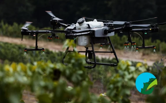 无人机喷洒的效果如何?德国葡萄园通过无人机喷洒来防止土壤压实