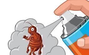 杀虫剂的常见问题！这些疑难杂症你一定要知道