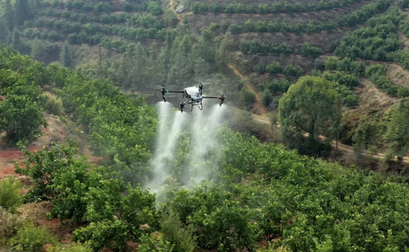 使用化学农药时,为什么要考虑农药的品种与剂型?