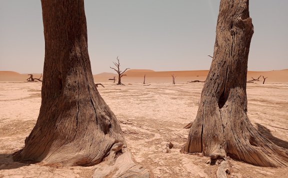 农业发展中的水资源过度利用：带来哪些危害？