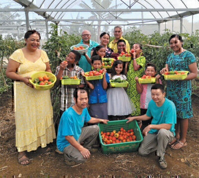 区块链能否独自保证食品系统的可追溯性？