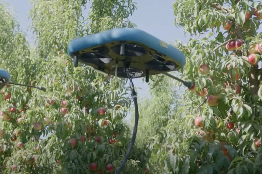 HMC Farms：农业技术旨在改善就业