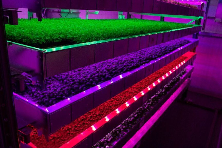 垂直农业应该成为农民工具箱中的一个工具，而不是整个操作或农民的竞争对手