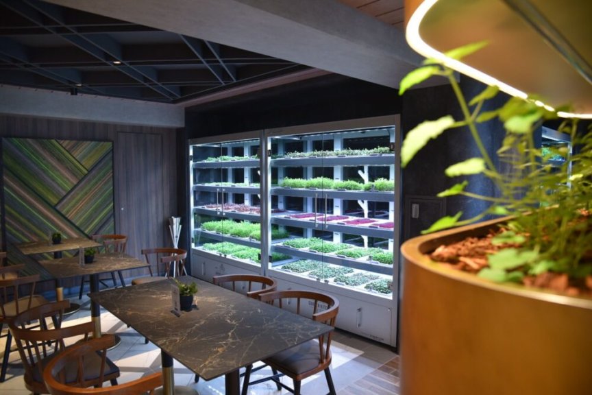 Babylon Micro-Farms获得800万美元A轮融资，探讨垂直农场小型化趋势