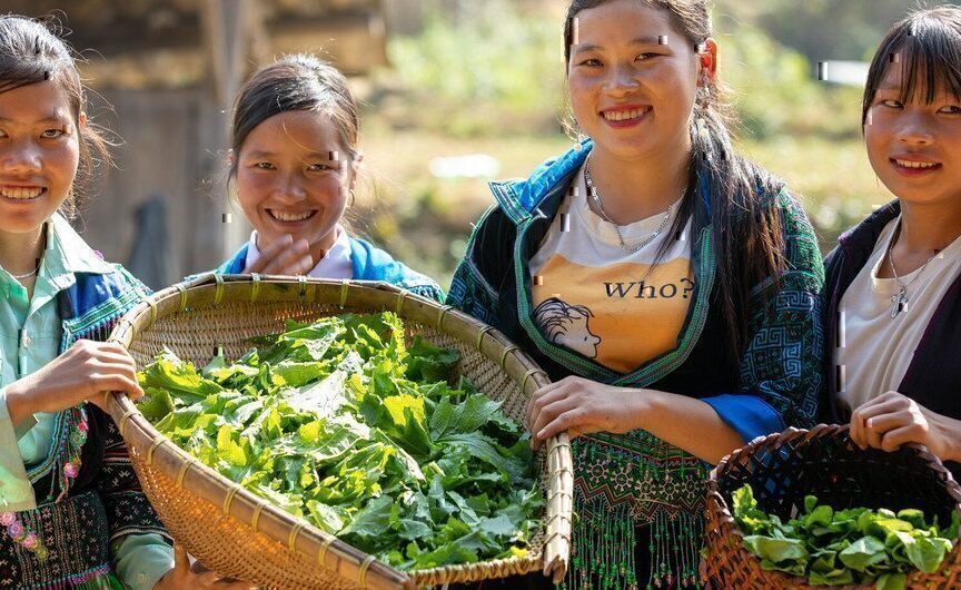 联合国粮农组织：世界近半数人口家庭依靠农业粮食体系谋生