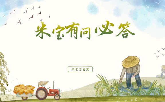 米宝有问必答(持续更新)