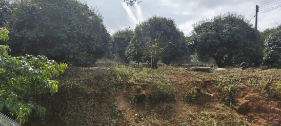 极飞（XAG）P150 2024款 农业无人机视频合集